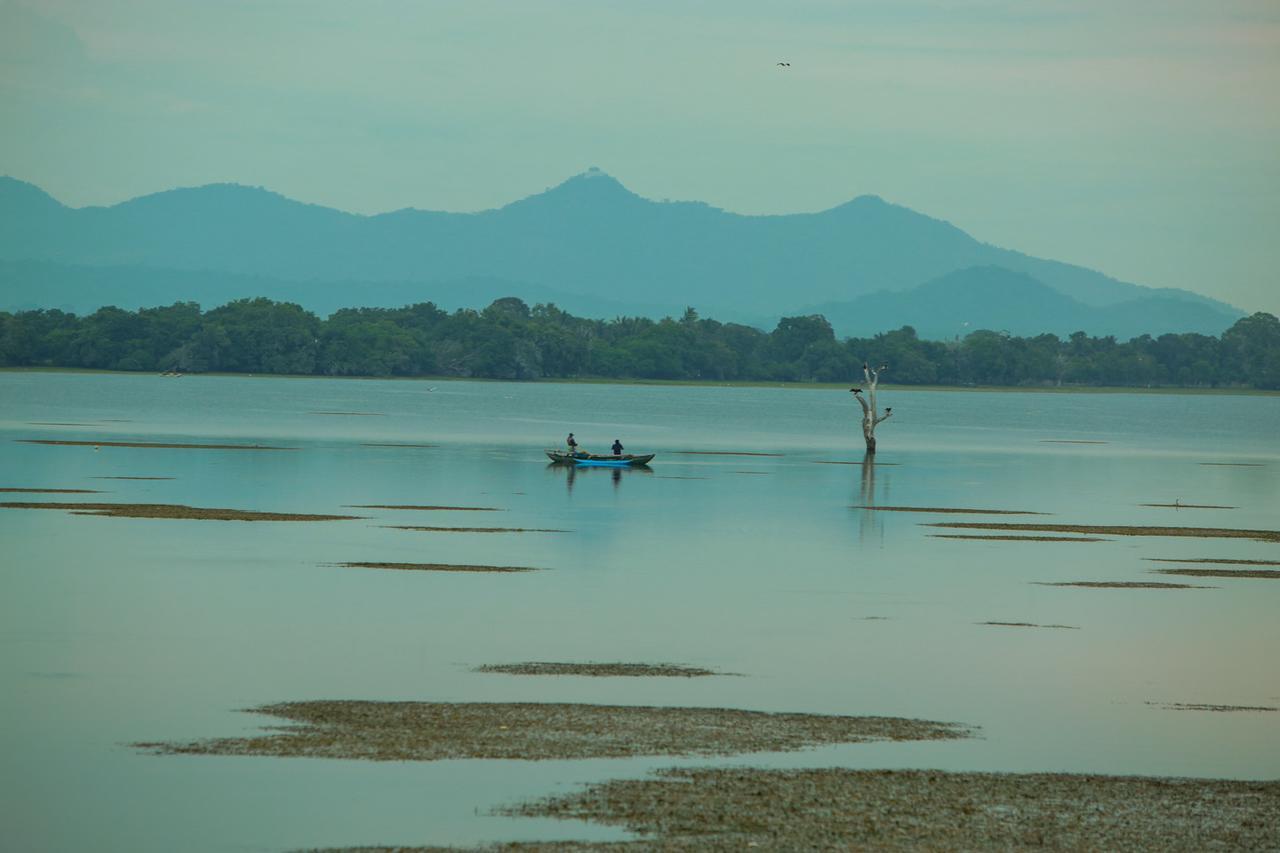 Yala Oga Reach Hotel ทิซซามาฮารามา ภายนอก รูปภาพ